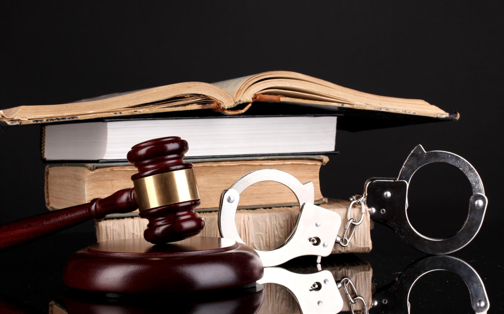 Criminal Record and Rebuild 