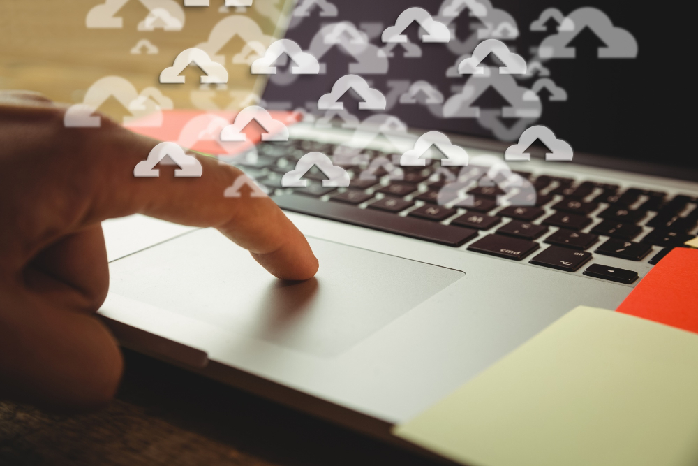 Intimate Image Allegations
