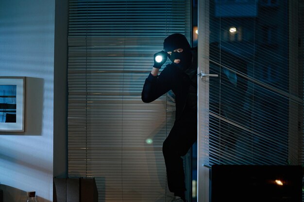 Break and Enter Lawyer-2